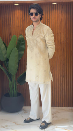 Pure Tissue Neck work Kurta